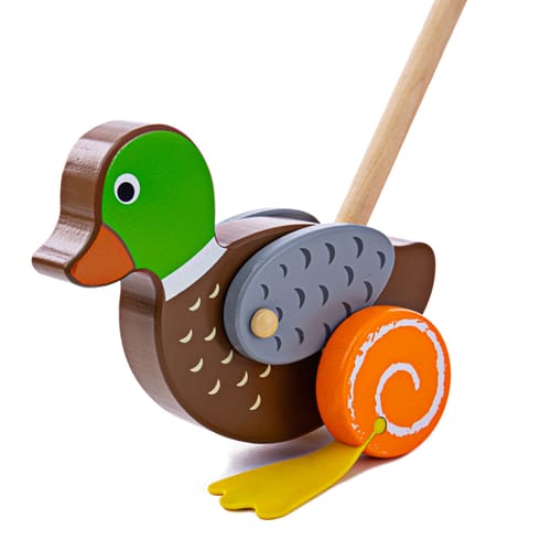 Duck Push Along - Playroom Learning Pick