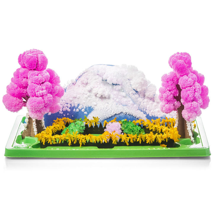 Magic Growing Garden - Weekend Outdoor Fun